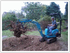 Demolition and stump removal